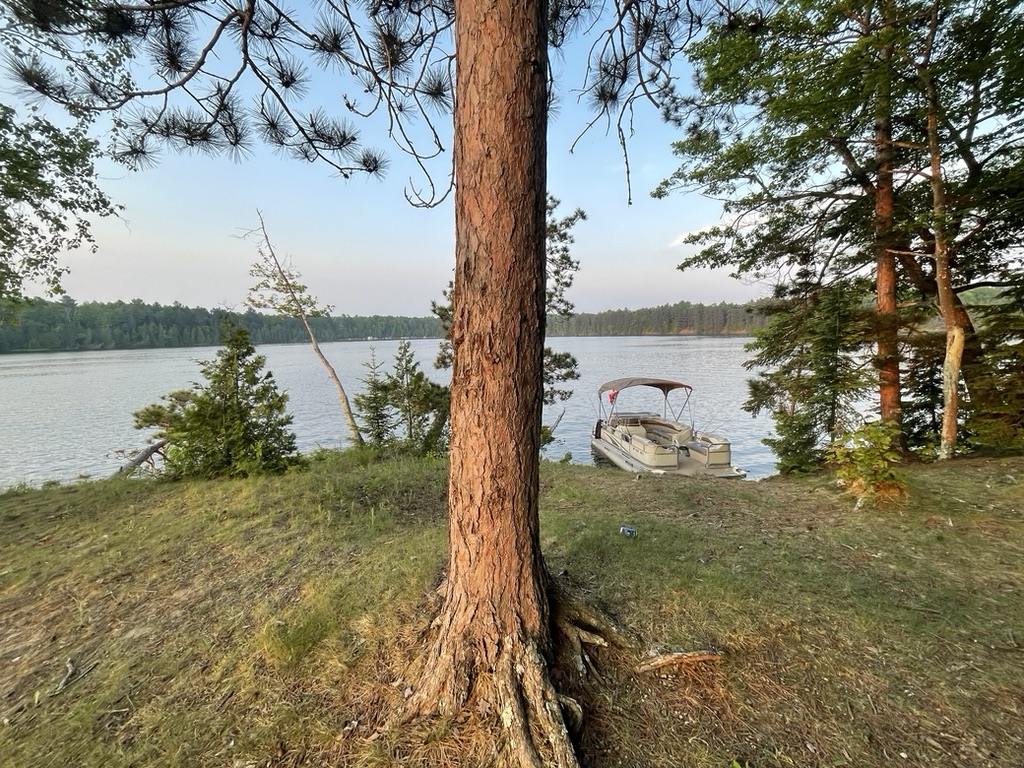 Lakeside scene at sunset with trees and a docked boat